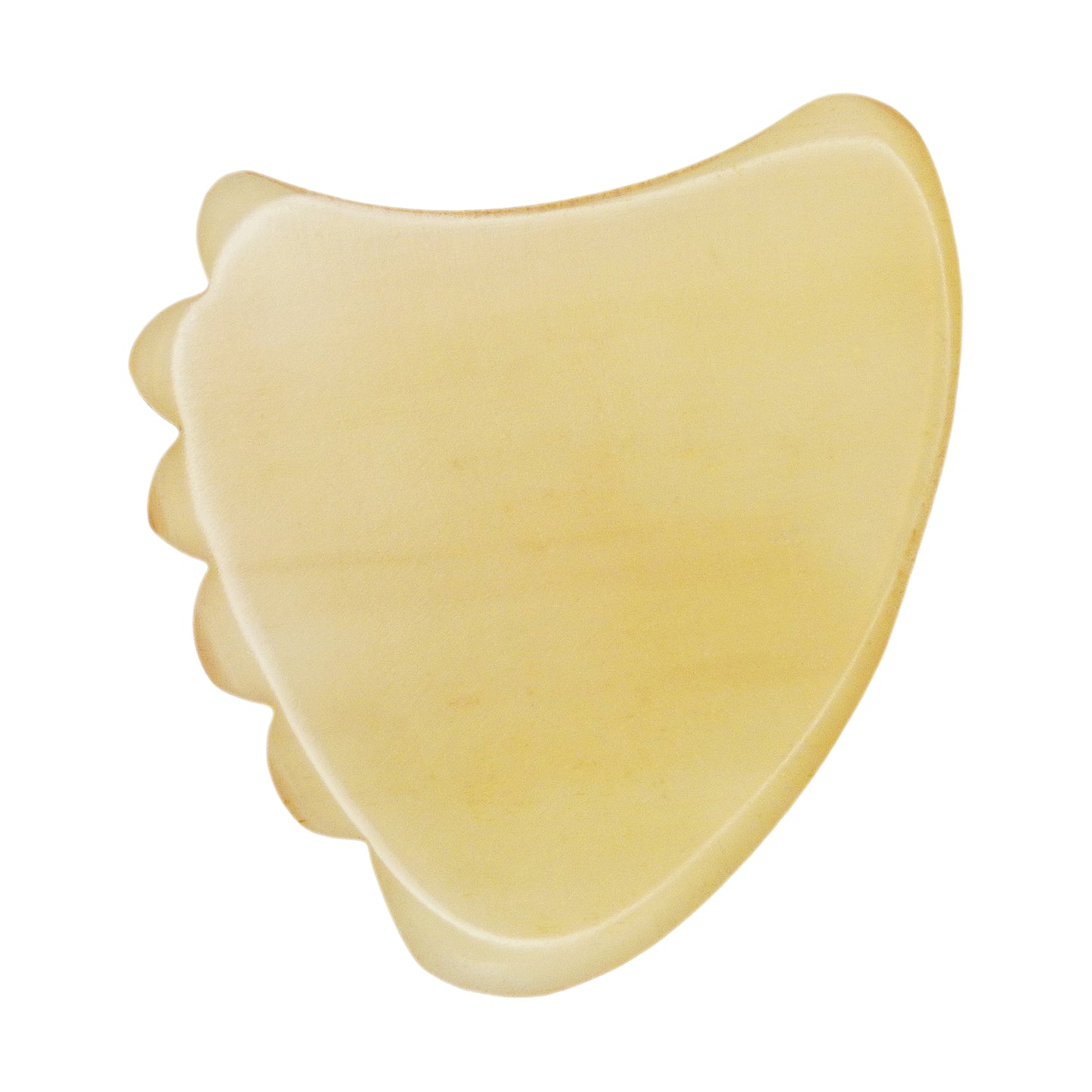 White Buffalo Horn Guitar Or Bass Pick - 1.5 mm Ultra Heavy Gauge - 390 Shark Fin Shape - Polished Finish Handmade Specialty Exotic Plectrum