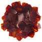 Celluloid Brown Tortoise Guitar Or Bass Pick - 0.96 mm Heavy Gauge - 330 Medium Home Plate Shape