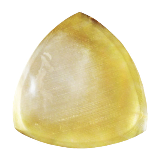Shell Plectuim 346 Wedge Triangle Shaped Guitar Picks – Exotic Plectrums