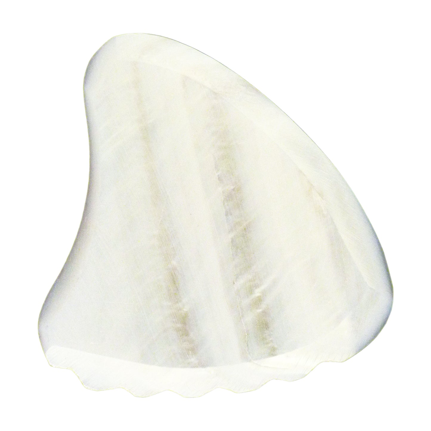 White Abalone Shell Guitar Or Bass Pick - 2.0 mm - Shark Fin Shape - Handmade Specialty Exotic Luxury Plectrum