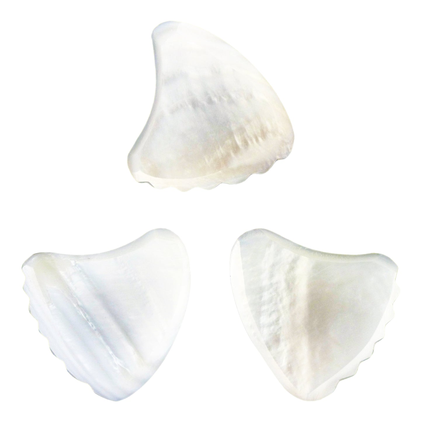 White Abalone Shell Guitar Or Bass Pick - 2.0 mm - Shark Fin Shape - Handmade Specialty Exotic Luxury Plectrum