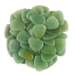 Green Aventurine Stone Guitar Or Bass Pick - 3.0 mm Ultra Heavy Gauge - 351 Shape - Specialty Handmade Gemstone Exotic Plectrum
